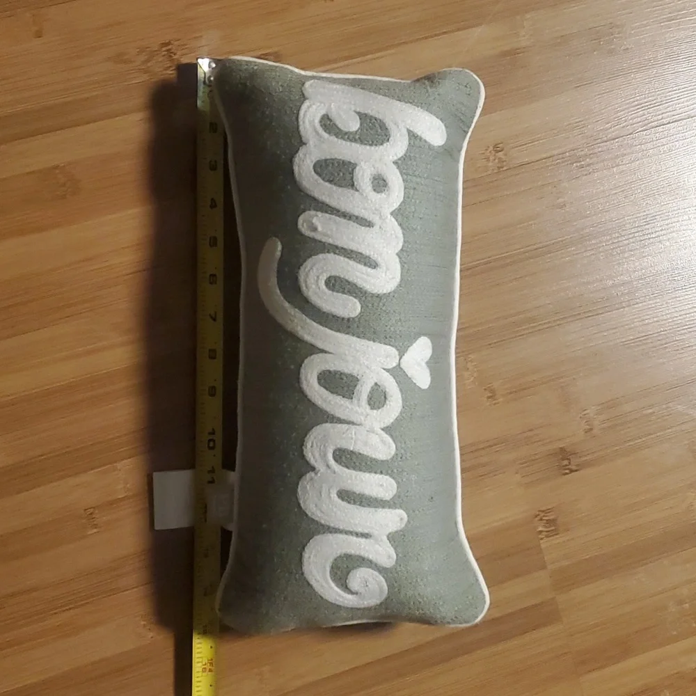 Pottery barn teen bonjour pillow